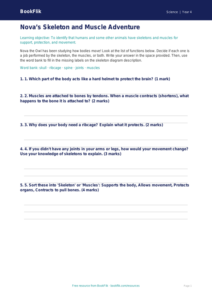 Free Skeleton And Muscles Activity Sheet | Class 4 | Science | BookFlik