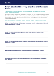 Free Skeleton And Muscles Activity Sheet | Class 4 | Science | BookFlik
