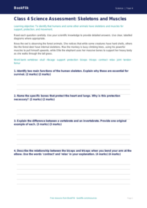 Free Skeleton And Muscles Assessment | Class 4 | Science | BookFlik