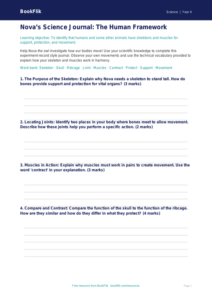 Free Skeleton And Muscles Template | Class 4 | Science | BookFlik