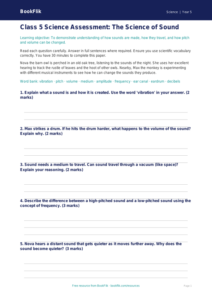 Free Sound Assessment | Class 5 | Science | BookFlik
