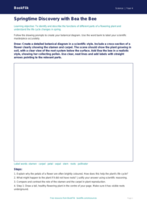 Spring Science Drawing Sheet for Class 4 | CBSE Science Worksheet