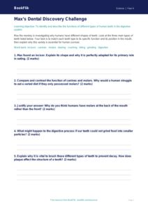 Free Teeth Activity Sheet | Class 4 | Science | BookFlik