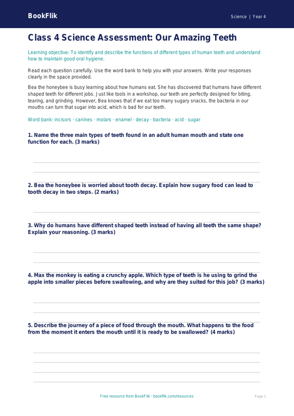 Science teeth assessment class 4 core worksheet preview — Science Teeth