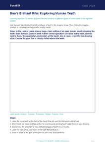 Free Teeth Drawing Sheet | Class 4 | Science | BookFlik