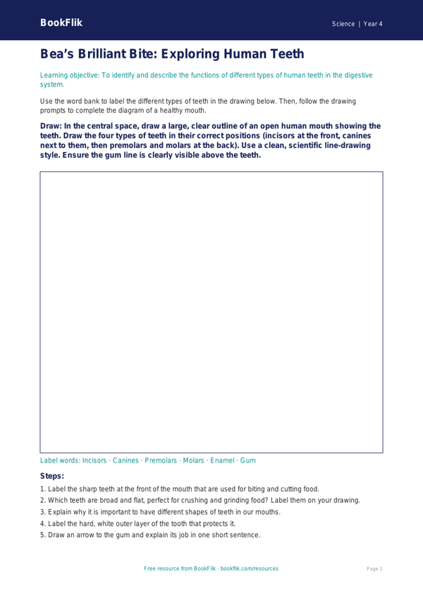 Free Teeth Drawing Sheet | Class 4 | Science | BookFlik worksheet preview — Science Teeth