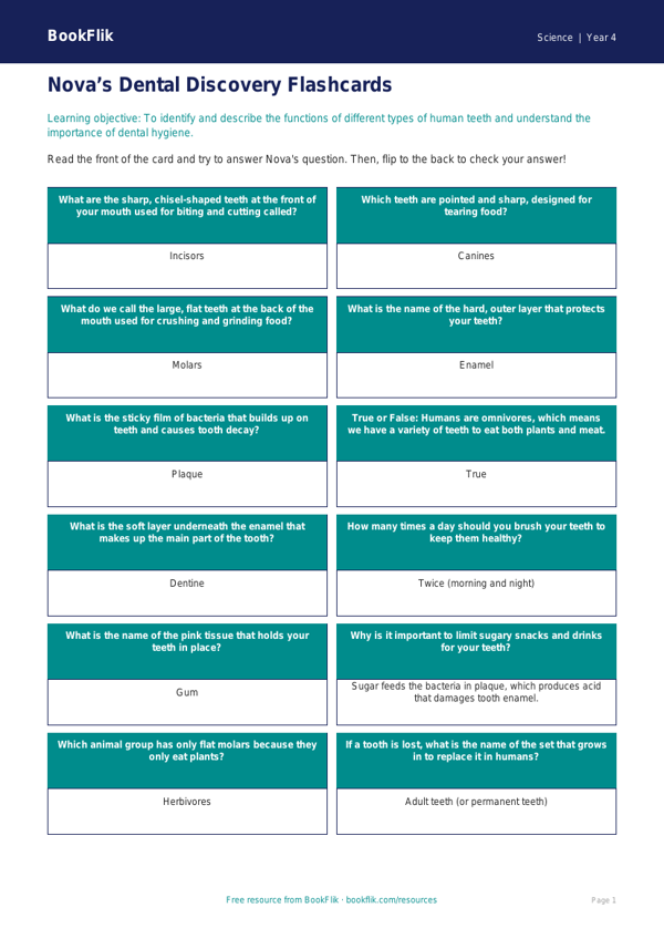 Free Teeth Flashcards | Class 4 Science | CBSE Curriculum worksheet preview — Science Teeth