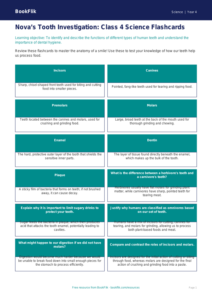 Free Teeth Flashcards | Class 4 | Science | BookFlik