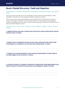 Free Teeth Worksheet | Class 4 | Science | BookFlik