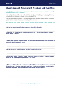 Numbers Assessment Class 5 | Spanish Learning | BookFlik