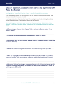 Free Opinion Phrases Assessment | Class 4 | Spanish | BookFlik