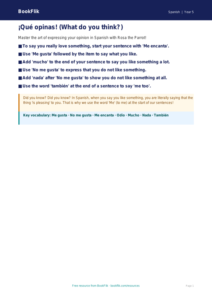 Spanish Opinion Phrases Poster for Class 5 | CBSE Learning