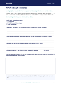 Free Coding Activity Sheet | Year 4 Supported | BookFlik