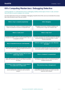Free Debugging Flashcards | Year 5 Core | BookFlik