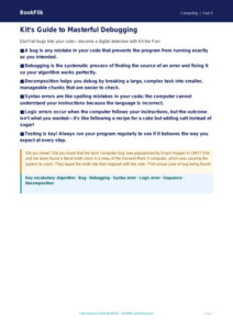Free Debugging Poster | Year 5 Core | BookFlik