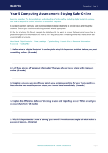 Free E-Safety Assessment Worksheet | Year 5 Core | BookFlik