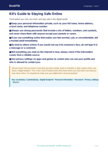 Free Internet Safety Poster | Year 5 Core | BookFlik
