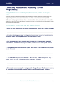 Free Scratch Assessment | Year 5 Core | BookFlik