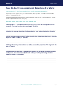 Free Adjectives Assessment | Year 4 Supported | BookFlik