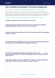 Free Adjectives Assessment | Year 5 Core | BookFlik
