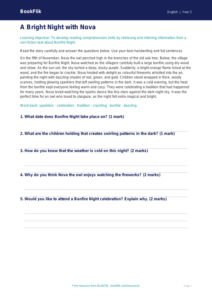 Free Bonfire Night Comprehension | Year 2 Core | BookFlik