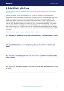 Free Bonfire Night Comprehension | Year 4 Supported | BookFlik