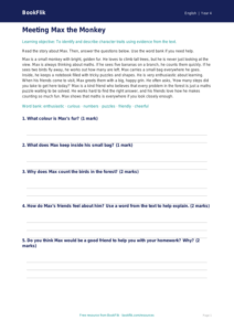 Free Character Description Comprehension | Year 4 Supported | BookFlik