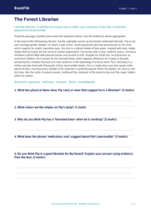 Free Character Description Comprehension | Year 5 Core | BookFlik
