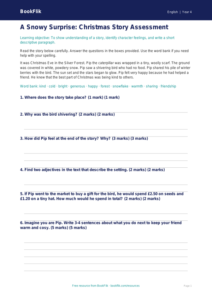 Free Christmas Story Assessment | Year 4 Supported | BookFlik