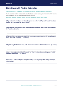 Free Diary Writing Worksheet | Year 4 Supported | BookFlik