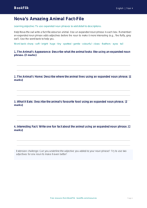 Free Expanded Noun Phrases Template | Year 4 Supported | BookFlik