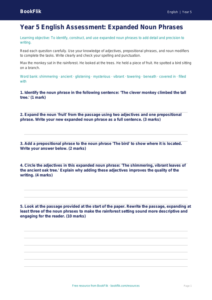 Free Expanded Noun Phrases Assessment | Year 5 Core | BookFlik