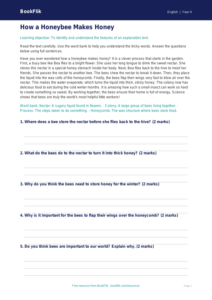 Free Explanation Texts Comprehension | Year 4 Supported | BookFlik