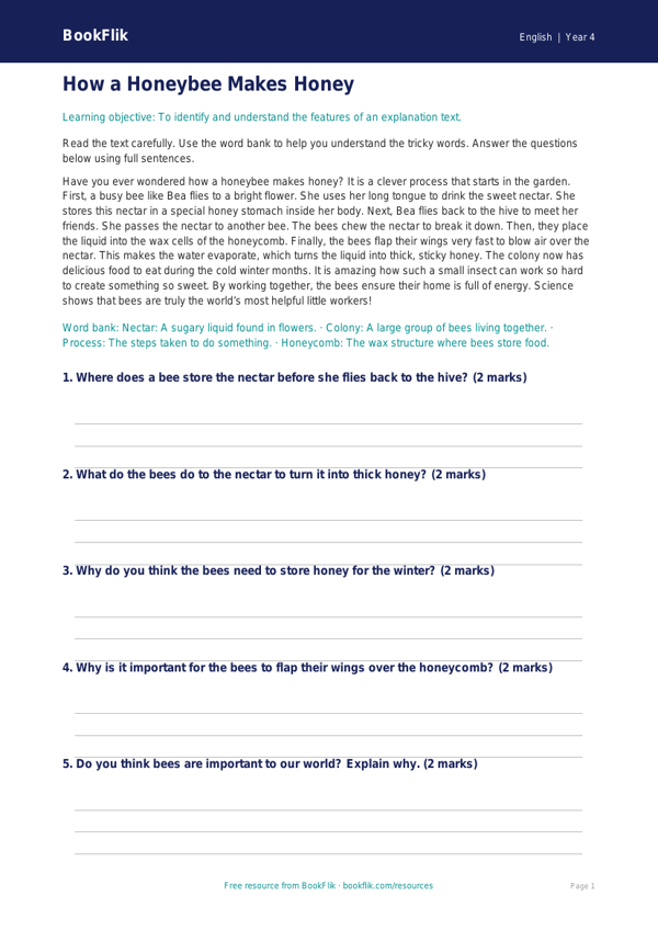 Free Explanation Texts Comprehension | Year 4 Supported | BookFlik worksheet preview — English Explanation Texts