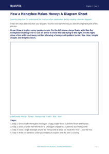 Free Explanation Texts Drawing Sheet | Year 4 Supported | BookFlik