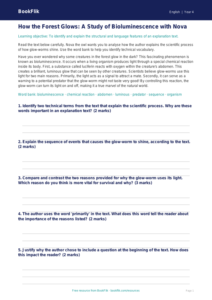 Free Explanation Texts Track Sheet | Year 4 Greater Depth | BookFlik