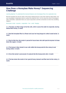 Free Explanation Texts Activity Sheet | Year 5 Core | BookFlik