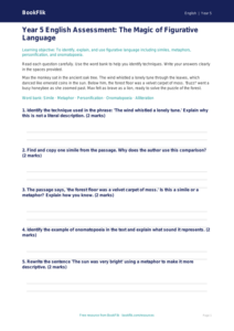 Free Figurative Language Assessment | Year 5 Core | BookFlik