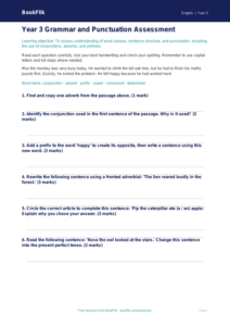 Free Grammar Assessment | Year 3 Core | BookFlik