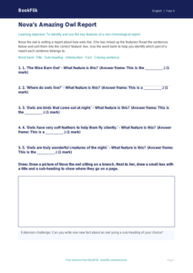 Free Non Chronological Reports Activity Sheet | Year 4 Supported | BookFlik