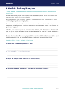 Free Non Chronological Reports Comprehension | Year 4 Supported | BookFlik