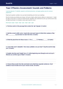 Free Phonics Assessment | Year 2 Core | BookFlik