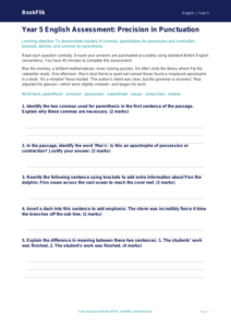 Free Punctuation Assessment | Year 5 Greater Depth | BookFlik