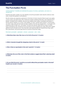 Free Punctuation Comprehension | Year 5 Core | BookFlik