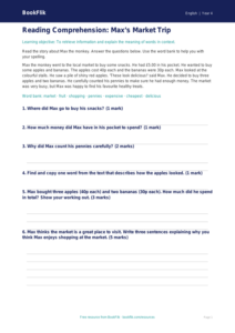 Free Reading Comprehension Assessment | Year 4 Supported | BookFlik