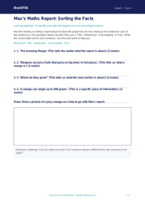 Free Report Writing Activity Sheet | Year 4 Supported | BookFlik