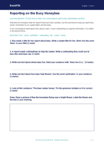 Free Report Writing Worksheet | Year 4 Supported | BookFlik