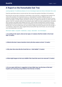 Free Report Writing Comprehension | Year 5 Core | BookFlik