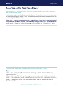 Free Report Writing Drawing Sheet | Year 5 Core | BookFlik