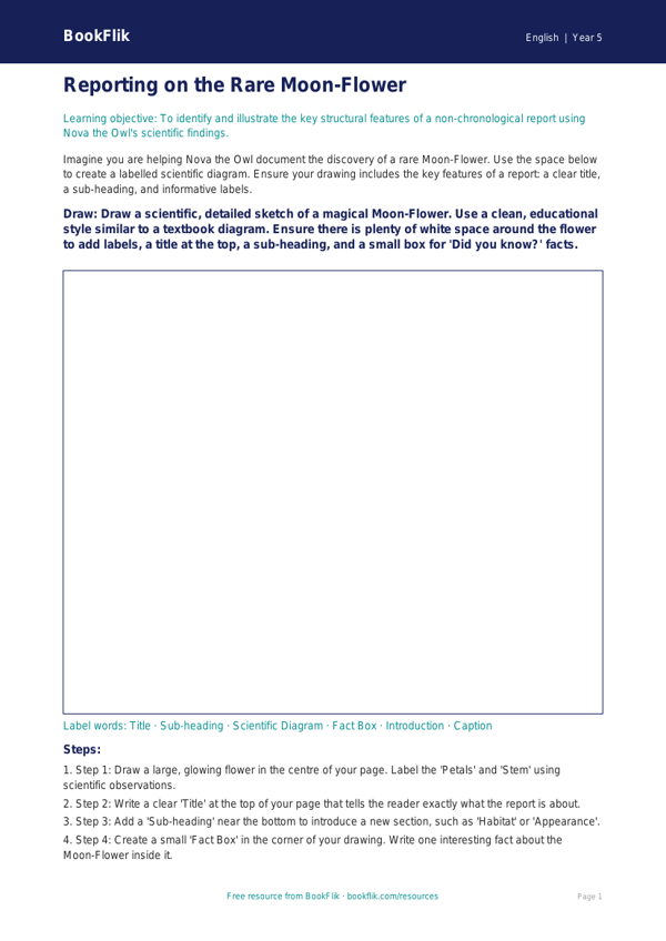 Free Report Writing Drawing Sheet | Year 5 Core | BookFlik worksheet preview — English Report Writing